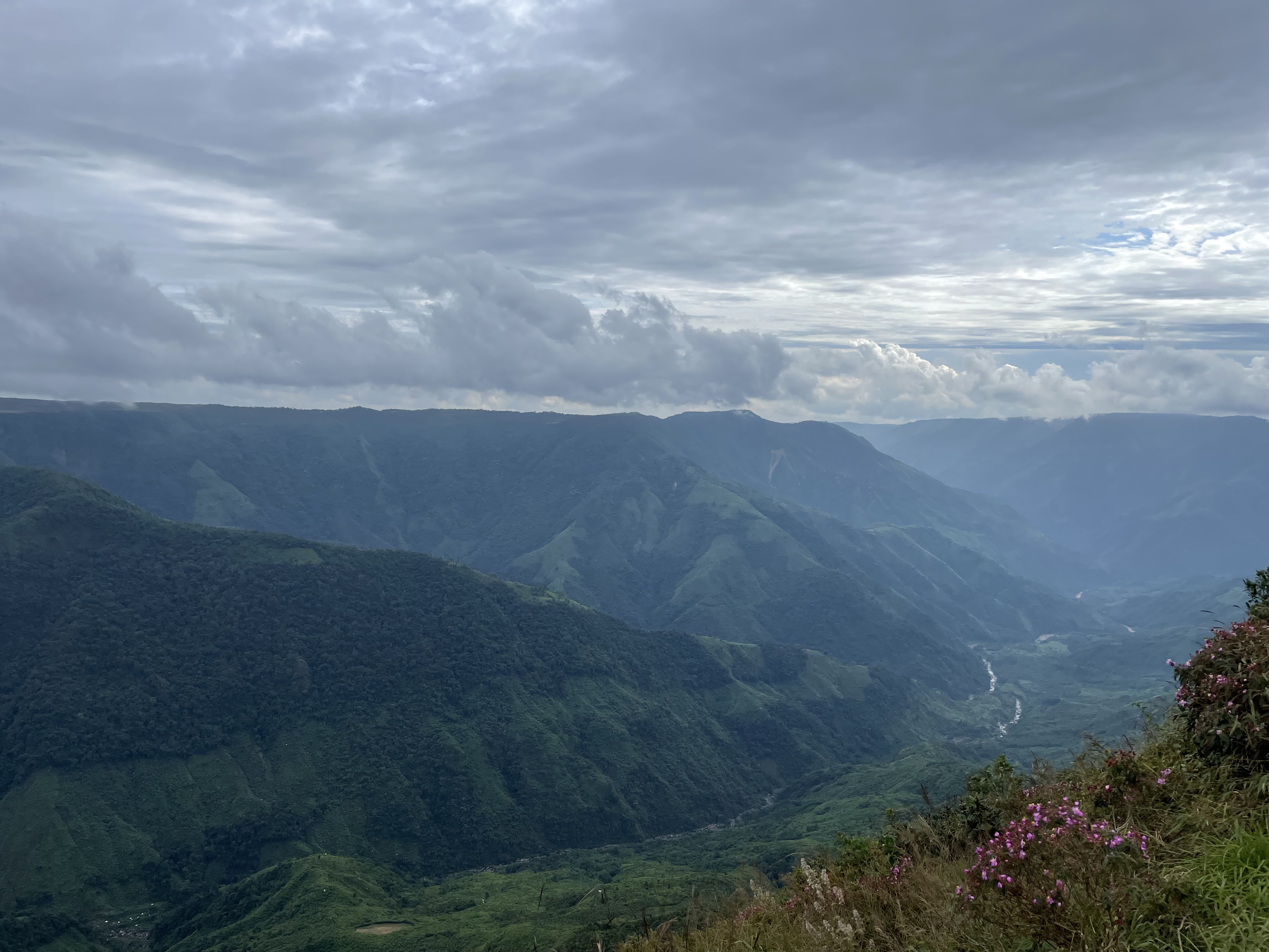 A side of a canyon. The mountain is covered in green vegetation