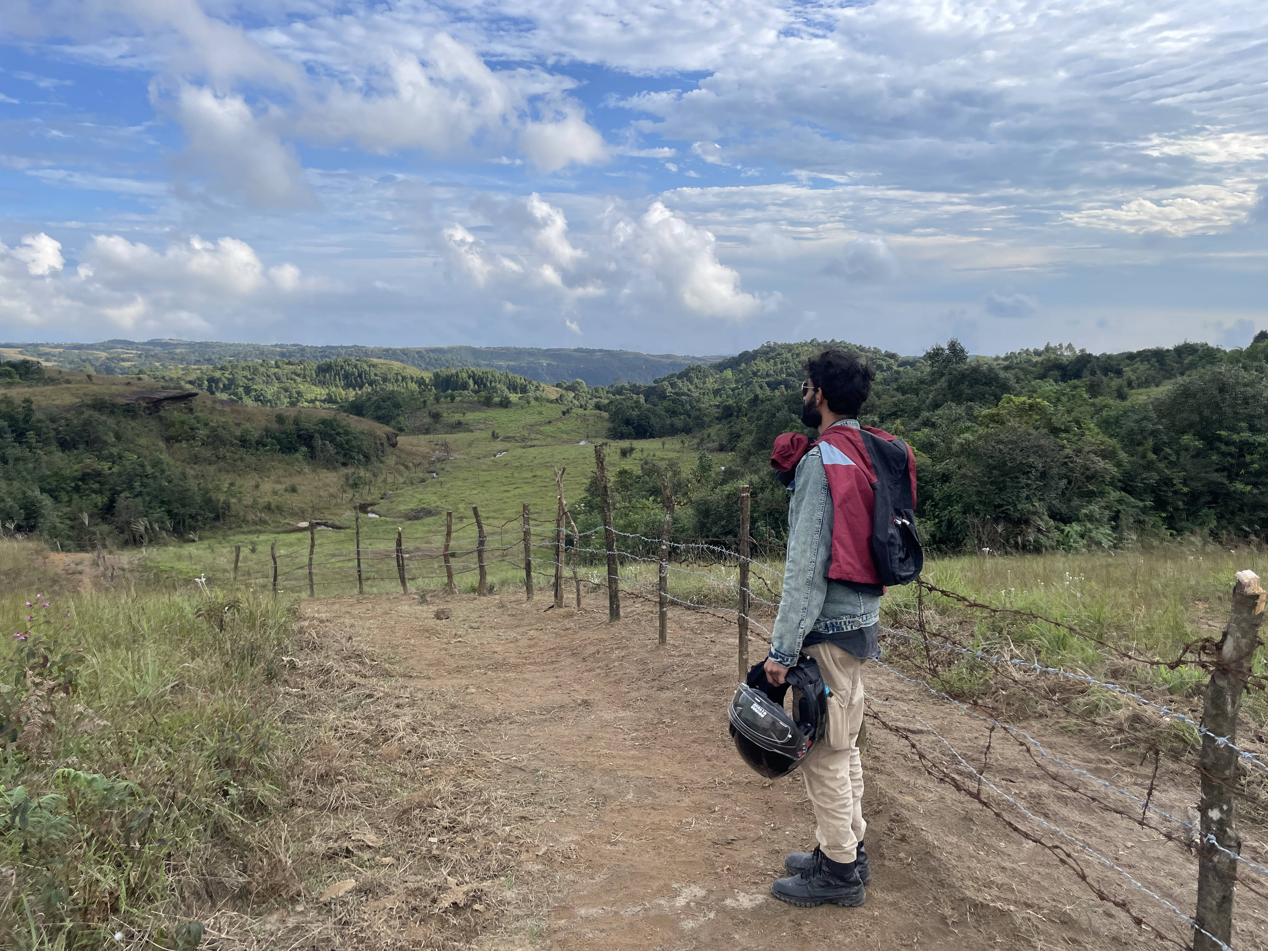 A man is looking at a field